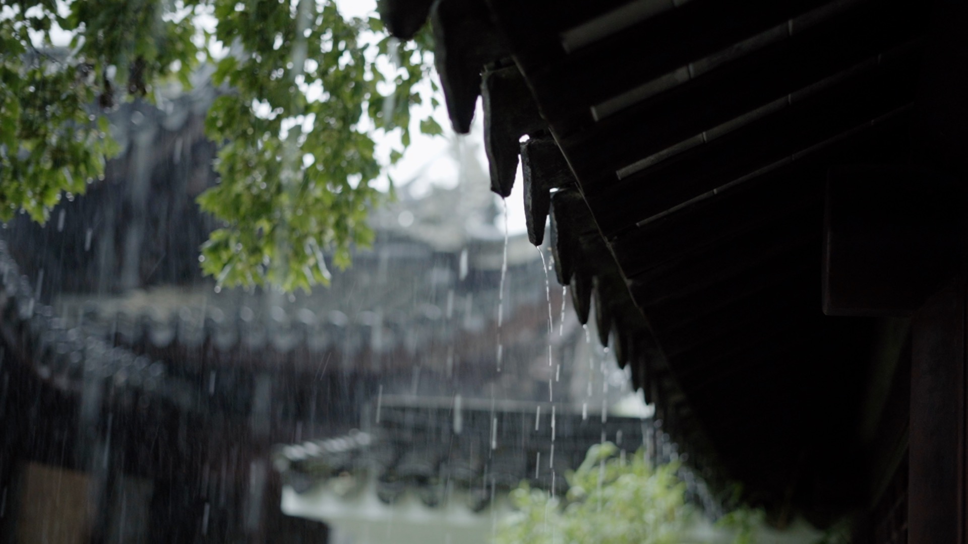 下雨大雨暴雨江南烟雨中空镜视频1080 视频的预览图