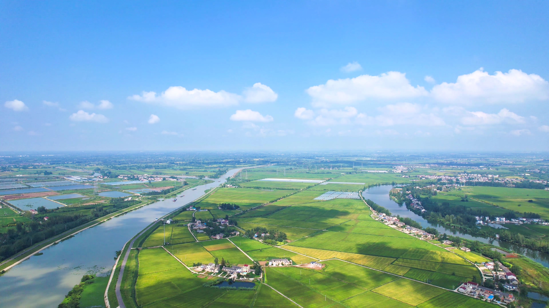 4K航拍美丽乡村乡村振兴乡村农田水稻田视频的预览图