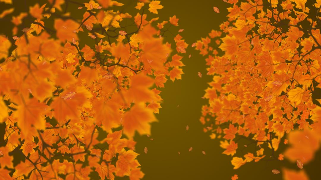 原创金色秋天秋季枫叶背景动态视频AE模板视频的预览图