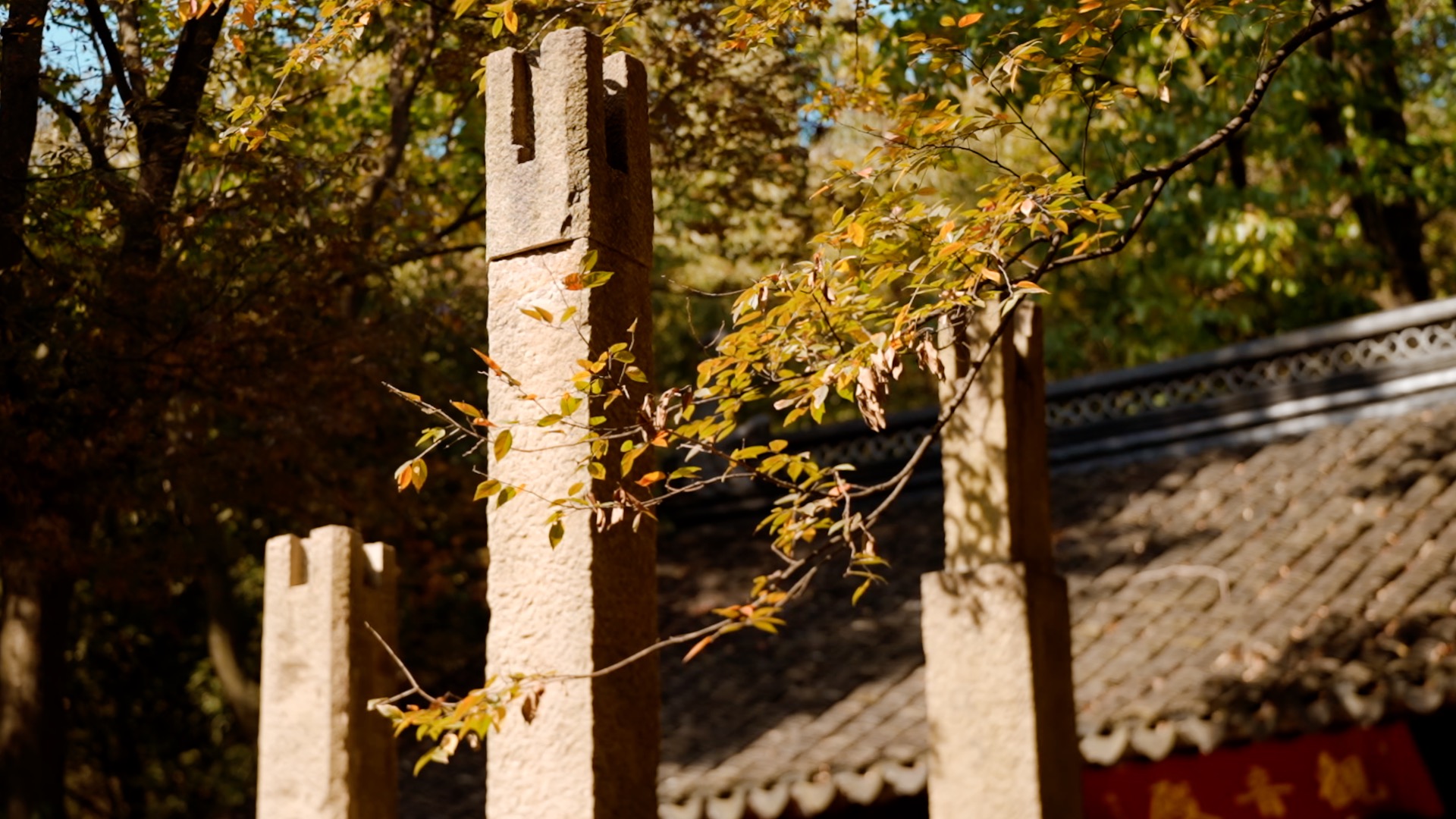 秋天树叶和古风屋檐实拍视频1080的预览图