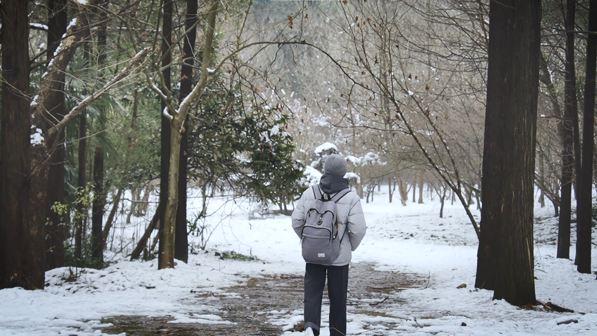 1080雪天人物走路背影慢镜头冬天行走在树林里视频的预览图