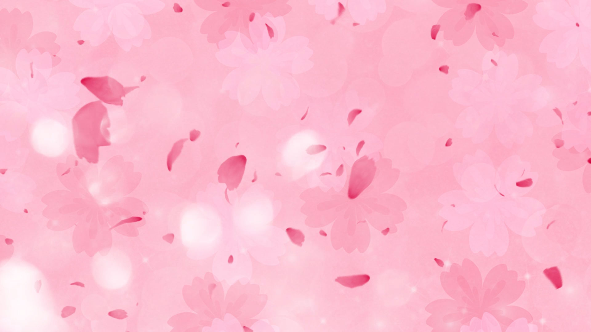 浪漫唯美春天粉色花瓣飞舞梦幻视频背景视频的预览图