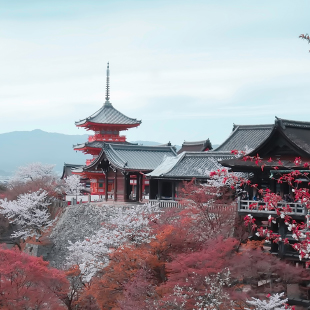 梦幻神秘节奏室内演出背景音乐