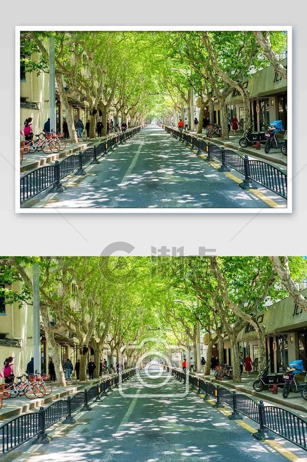 上海武康路城市街景摄影图片摄影图1024*1540图片素材免费下载-编号1268650-潮点视频