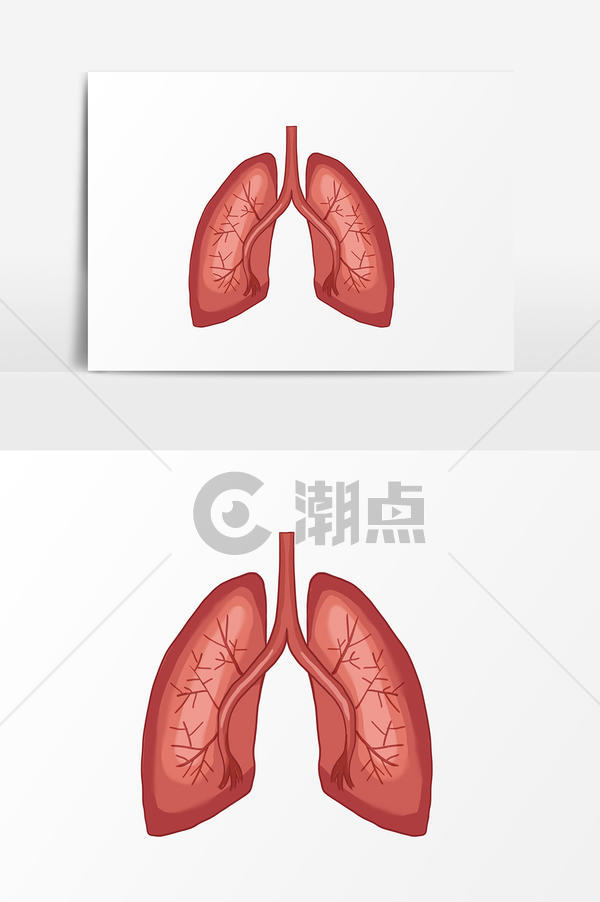 卡通手绘肺部元素设计元素1024*1540图片素材免费下载-编号1282709-潮点视频