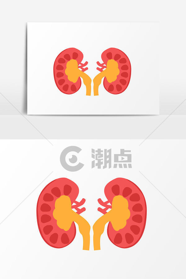 卡通手绘肾脏元素设计元素1024*1540图片素材免费下载-编号1282913-潮点视频