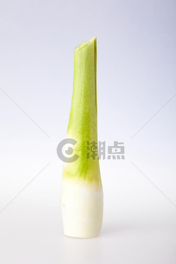 绿色茭白高笋蔬菜新鲜美食摄影图片摄影图1024*1536图片素材免费下载-编号1296735-潮点视频