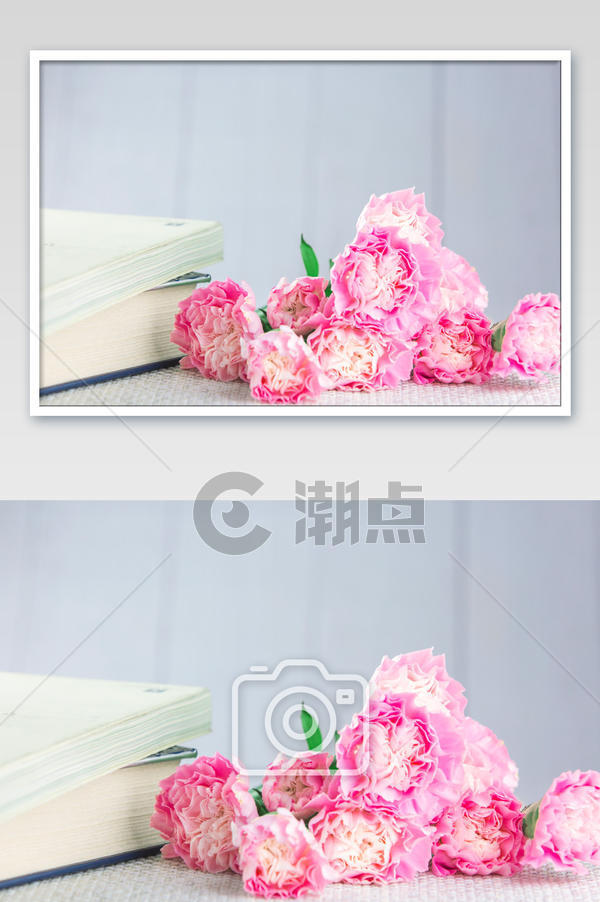 康乃馨花束平拍摄影图摄影图1024*1540图片素材免费下载-编号1318645-潮点视频