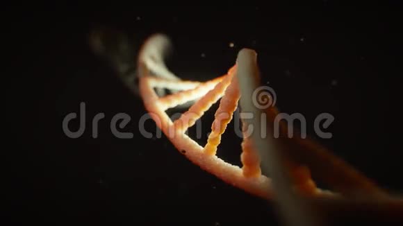 旋转DNA视频的预览图