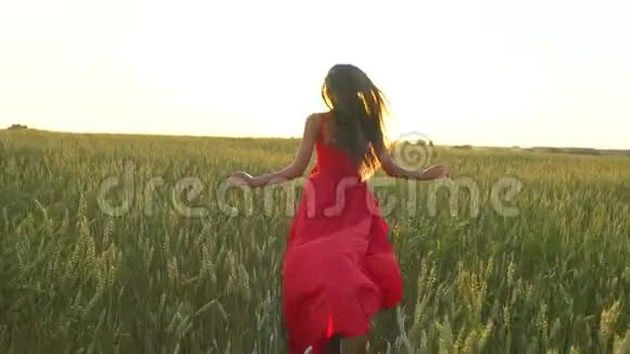 快乐的年轻美丽的女子身穿红衣服挽着手臂在夕阳西下的麦田里奔跑视频的预览图