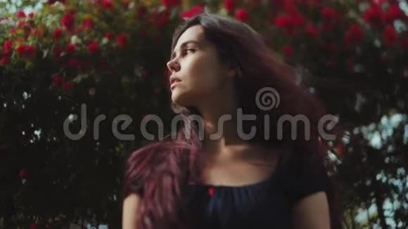 一位美丽的黑发年轻女子站在盛开的红玫瑰丛边眺望远方视频的预览图