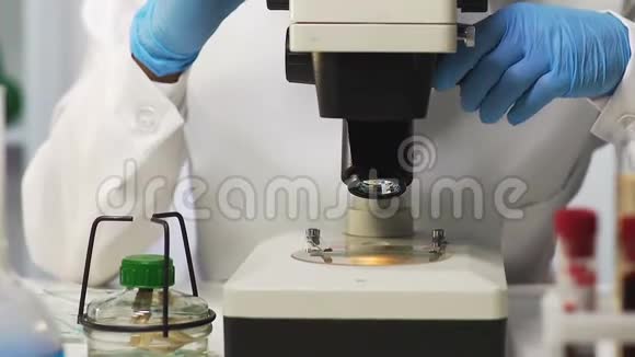 实验室助理在显微镜下观察血液基因研究dna测试视频的预览图