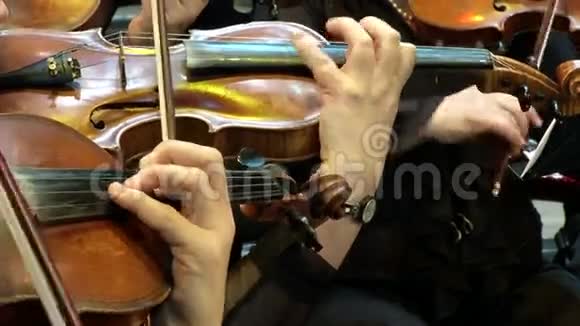 小提琴和手视频的预览图