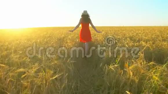 快乐的旅行者年轻的西班牙裔美女在日落的夏天在麦田上奔跑自由健康幸福旅游视频的预览图