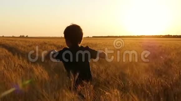 日落时快乐的孩子在麦田里奔跑一个小男孩在麦田里玩耍激励人们视频的预览图