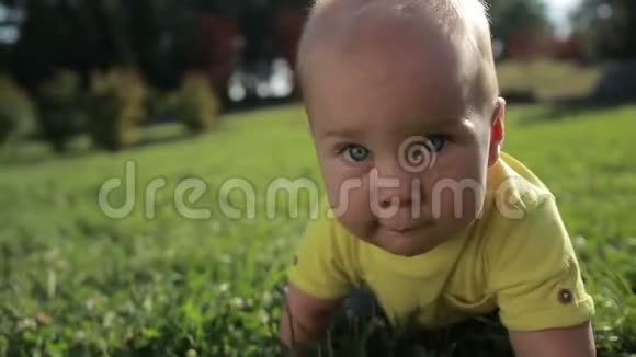 快乐的蹒跚学步的小男孩爬在绿草上视频的预览图