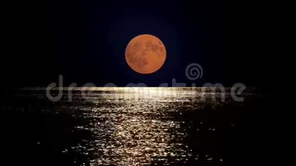 圆月光映在海水中夏日浪漫的海滨之夜视频的预览图