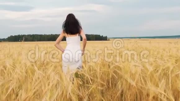 美丽的黑发女孩健康的长发在金色麦田的户外旋转和欢笑享受大自然青年视频的预览图