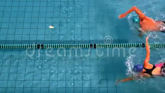 适合游泳运动员在游泳池里比赛视频的预览图