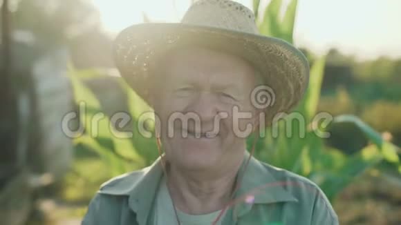 4K镜头下老农在田野里微笑说话的肖像视频的预览图