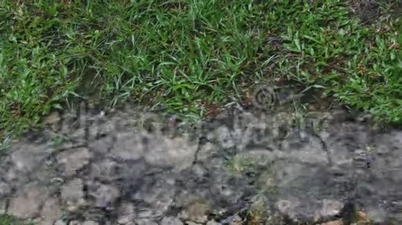 在地上下雨视频的预览图