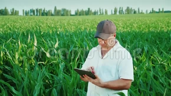 在一片玉米地工作的中年男性农民使用平板电脑检查现场视频的预览图