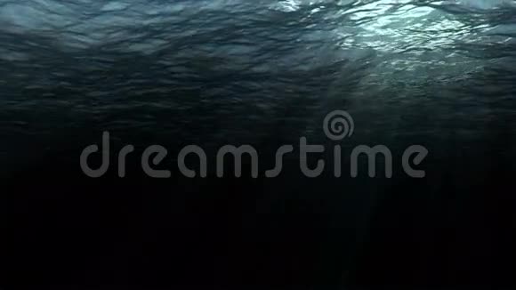 来自水下背景的深海暗海波的高质量完美无缝环数字动画视频的预览图