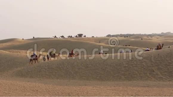 塔尔沙漠南亚在印度西北部和巴基斯坦东南部视频的预览图