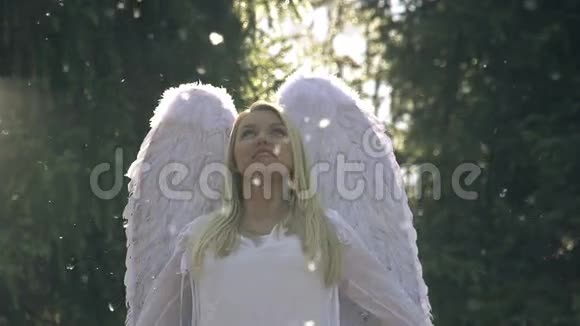 白色天使视频的预览图