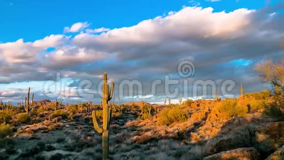亚利桑那州沙漠日落时间流逝视频仙人掌视频的预览图