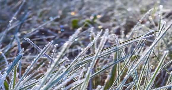 在早晨的阳光下草上霜冻的时间缩短视频的预览图