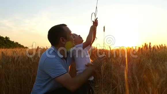 一个农夫和他的儿子正在考虑一种小麦作物日落时在田野上爸爸和孩子都很高兴视频的预览图