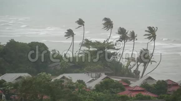 帕布台风泰国海洋海岸自然灾害眼镜飓风强烈的极端旋风吹袭手掌视频的预览图