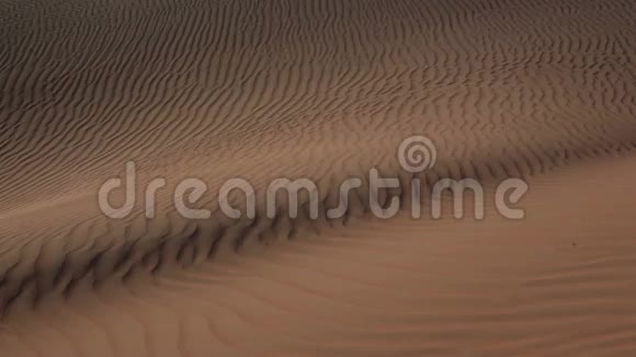 沙丘视频的预览图