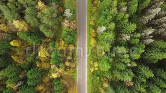 在秋色令人叹为观止的森林中俯视道路秋天的辉煌空中的天桥你的视线视频的预览图