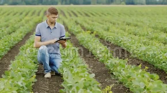 一位年轻的农艺师在田里工作检查大豆灌木丛使用数码平板电脑视频的预览图