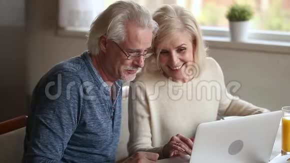 快乐的老夫妇一起用手提电脑聊天视频的预览图