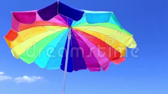 海滩伞与鸟视频的预览图