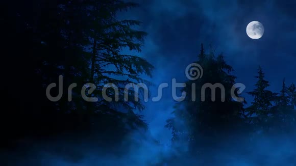 夜晚的森林薄雾沼泽和月亮视频的预览图