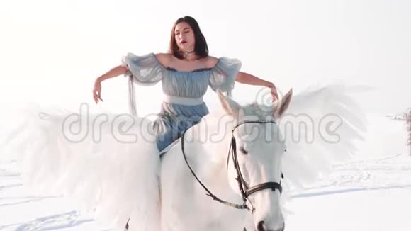 穿着灰色长裙光着肩膀的美丽黑发女士坐在马背上一丝不苟视频的预览图