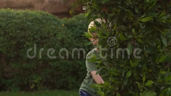 小男孩躲在树后面慢动作视频的预览图