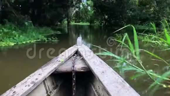 一艘船穿过亚马逊河在水面和树木上掠过绿叶视频的预览图