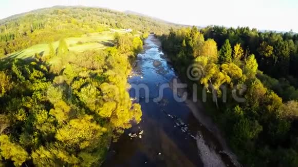 在森林里飞过河流视频的预览图