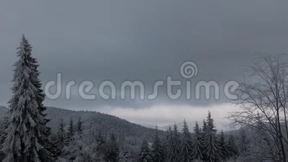 冬天的天空上有乌云森林树上有雪视频的预览图