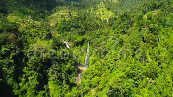 绿色雨林中强大的热带瀑布稻田附近的瀑布视频的预览图