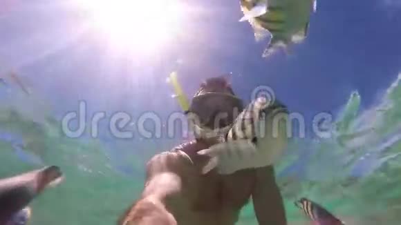 人类在珊瑚礁潜水一群鱼水下自拍场景视频的预览图
