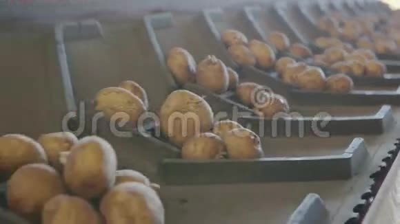 马铃薯加工生产线视频的预览图