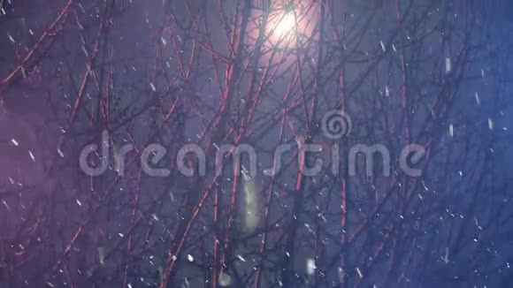 月光透过雪白的树枝视频的预览图