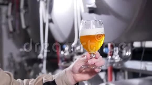 小企业和制造理念啤酒厂在啤酒厂测试啤酒视频的预览图