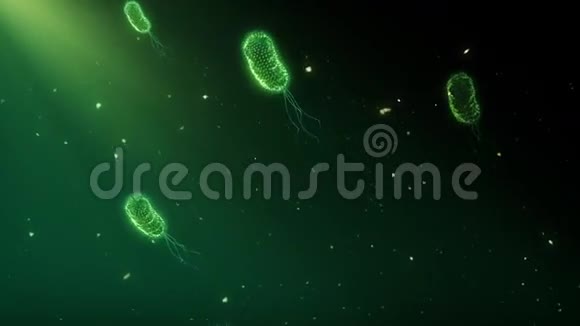 Bacteria008视频的预览图